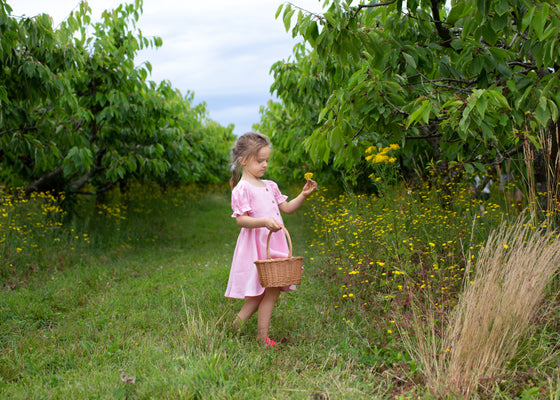 Pink Line Dress with Puff Sleeves